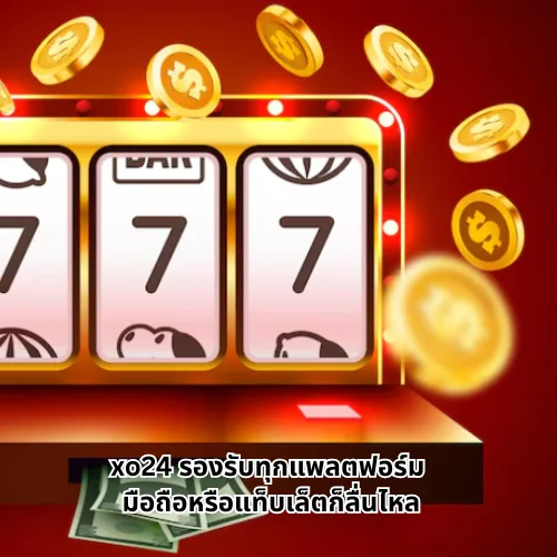 xo24